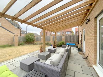 Picture 25